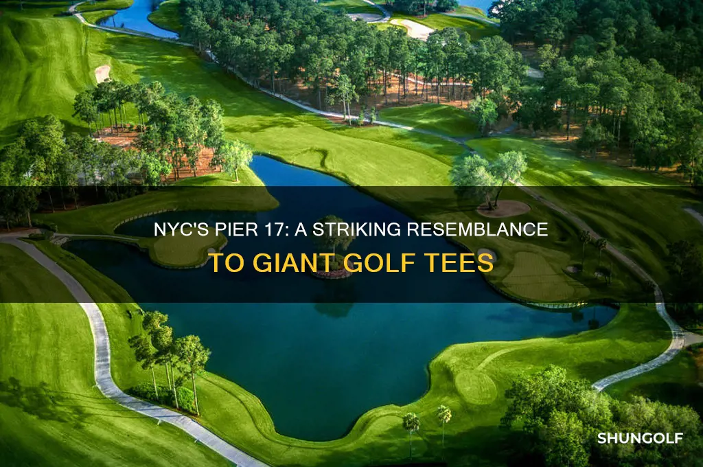 what nyc pier looks like golf tees