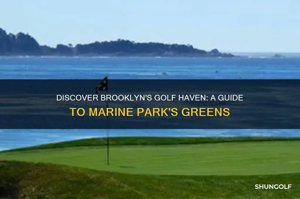 what park is in brooklyn that have golf