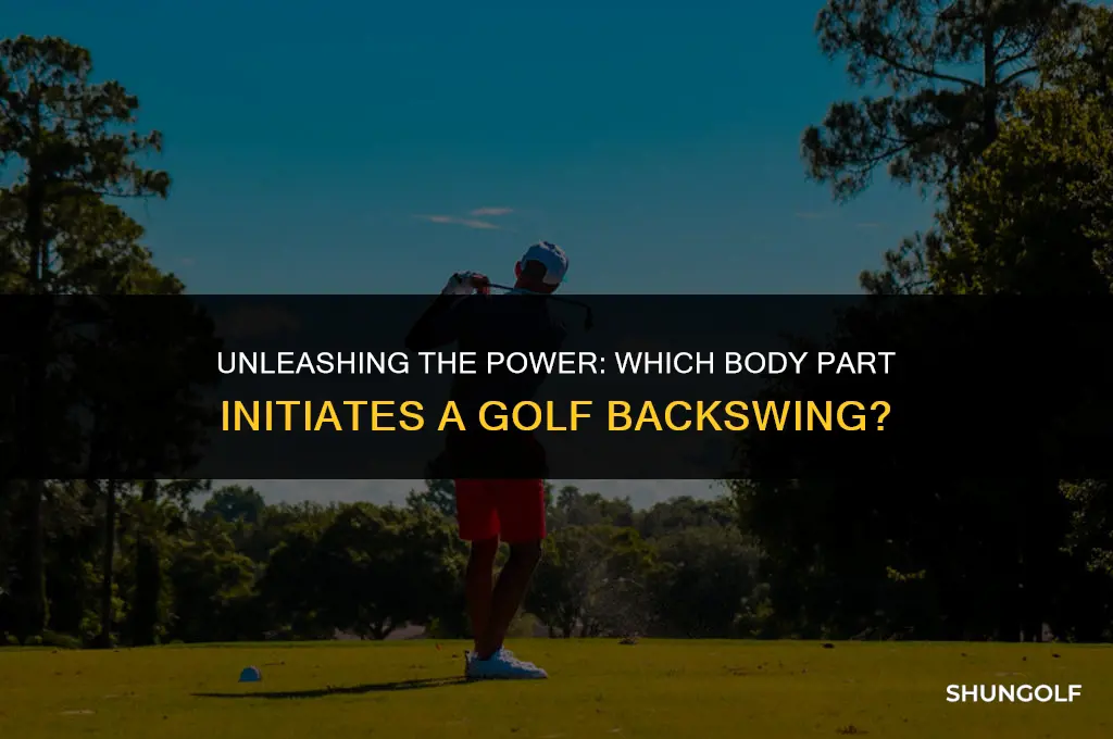 what part of the body starts the backswing in golf