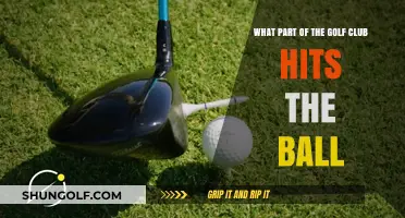 Understanding the Golf Club: Which Part Makes Contact with the Ball?