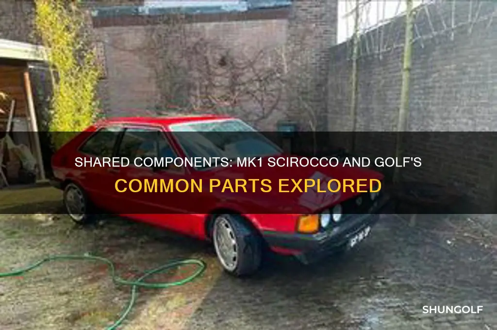 what parts are shared between the mk1 scirrco and golf