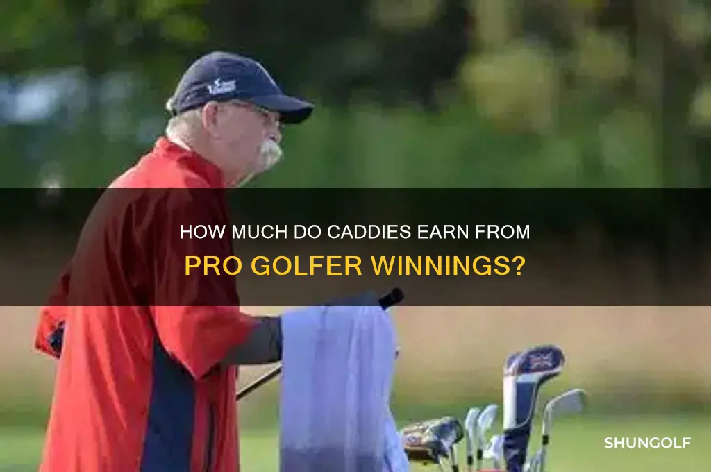 what percentage of pro golfer earnings go to caddie