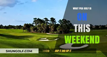 PGA Golf Weekend Preview: Tournaments, Tee Times, and Top Players