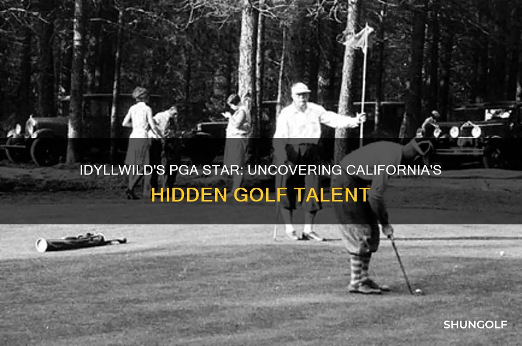 what pga golfer came from idyllwild california