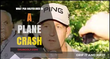 Tragic Loss: PGA Golfer's Fatal Plane Crash Remembered