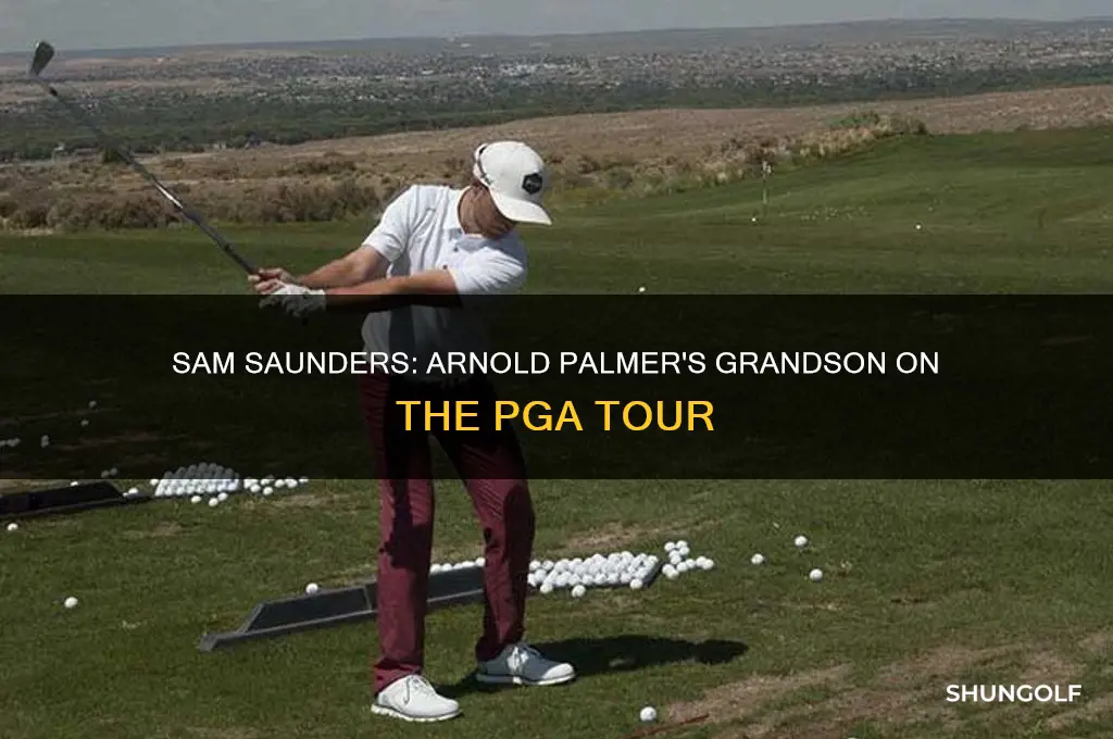 what pga golfer is arnold palmer