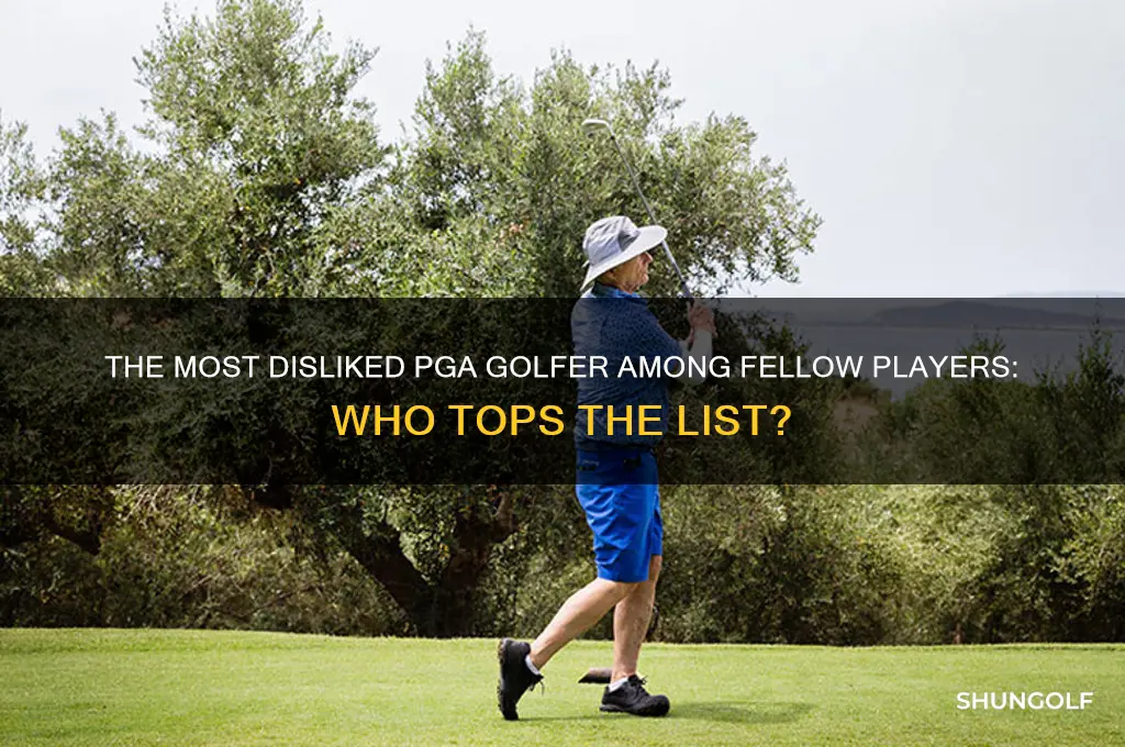 what pga golfer is most disliked by other players