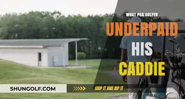 Golfer's Caddie Pay: Who Cheated Their Bagman?