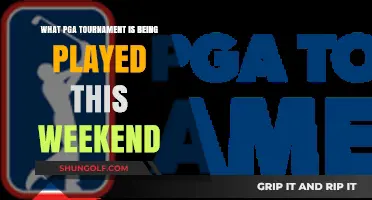 PGA Tour This Weekend: Which Tournament is Taking Place?