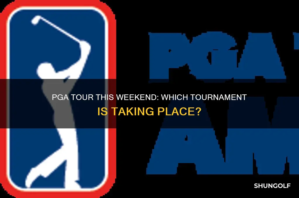what pga tournament is being played this weekend