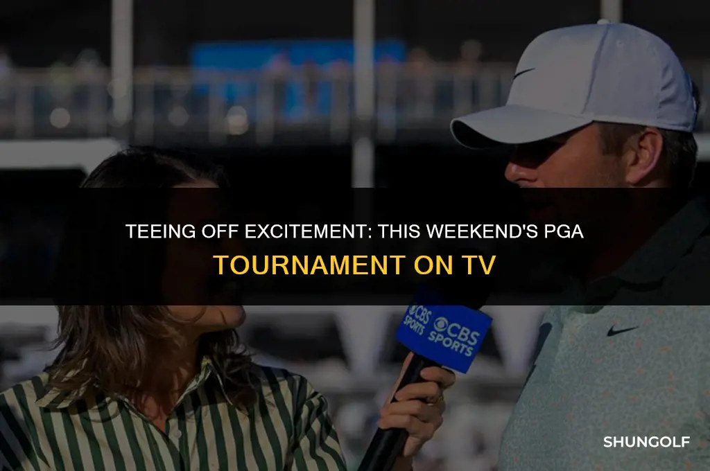 what pga tournament is this weekend on tv