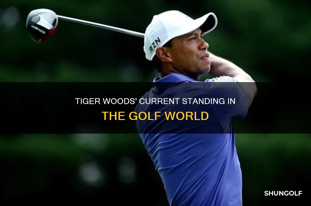 what place is tiger woods in in golf