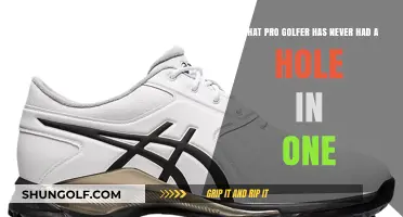 Pro Golfers Without a Hole-in-One: Surprising Aces Never Achieved
