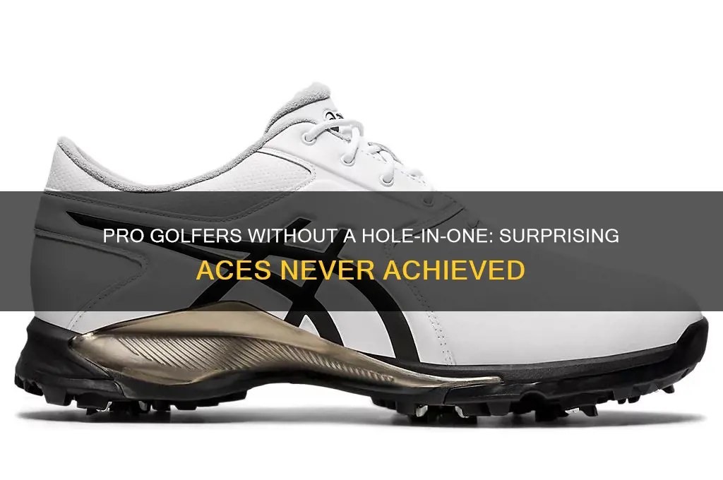 what pro golfer has never had a hole in one