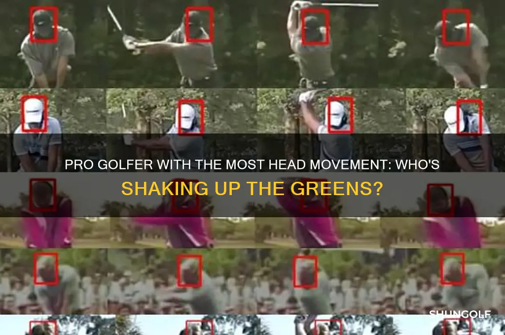 what pro golfer has the most head movement