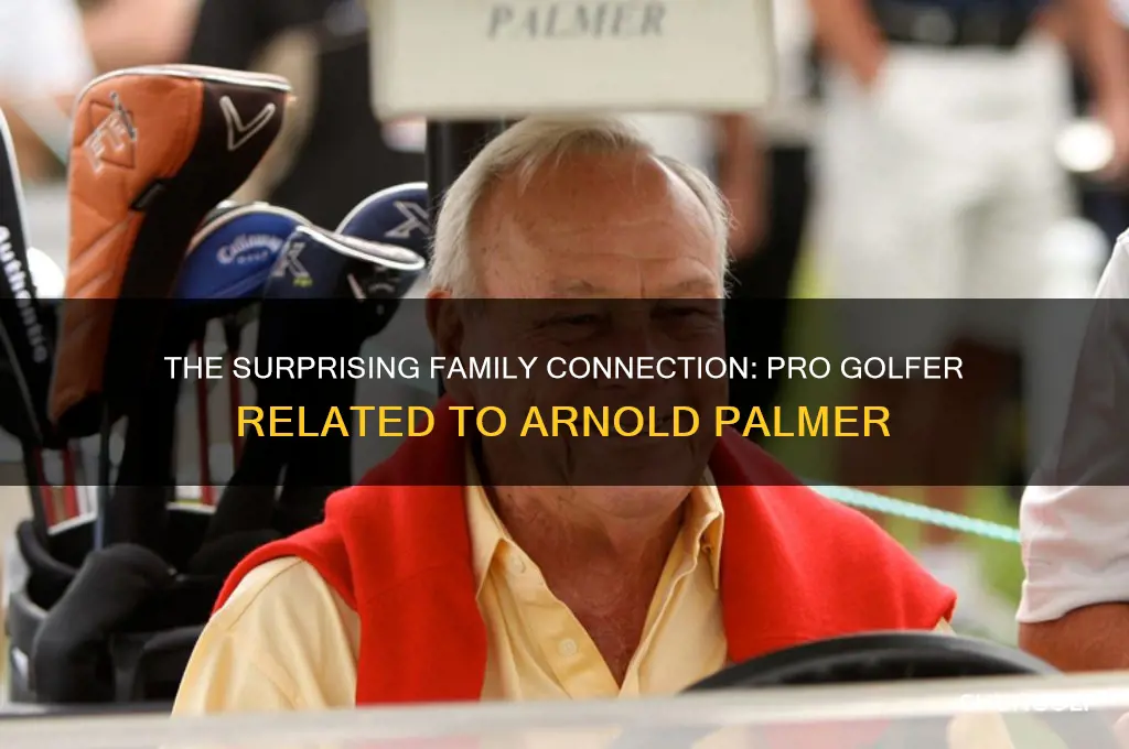 what pro golfer is related to arnold palmer
