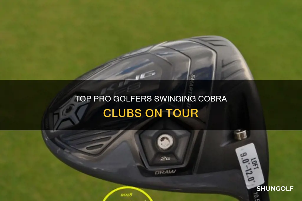 what pro golfer uses cobra clubs