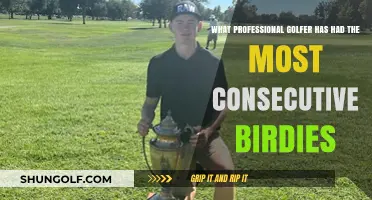 Record-Breaking Streak: Which Golfer Achieved Most Consecutive Birdies?