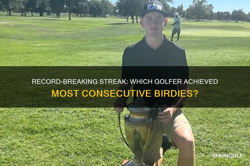 what professional golfer has had the most consecutive birdies