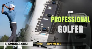 Golfing Greats: Who's the Best Professional Golfer?