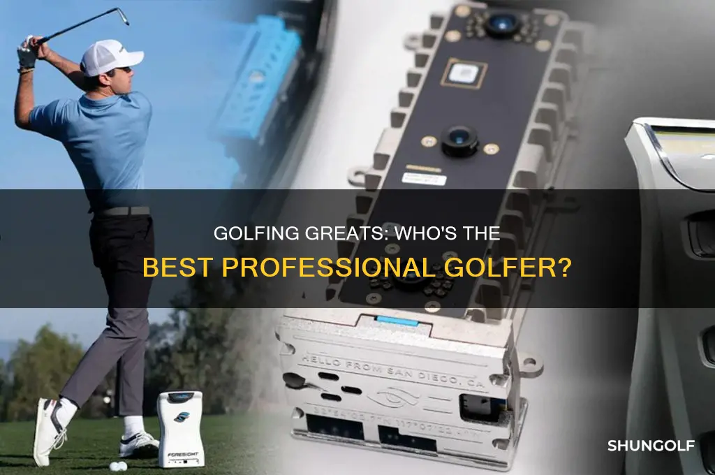 what professional golfer