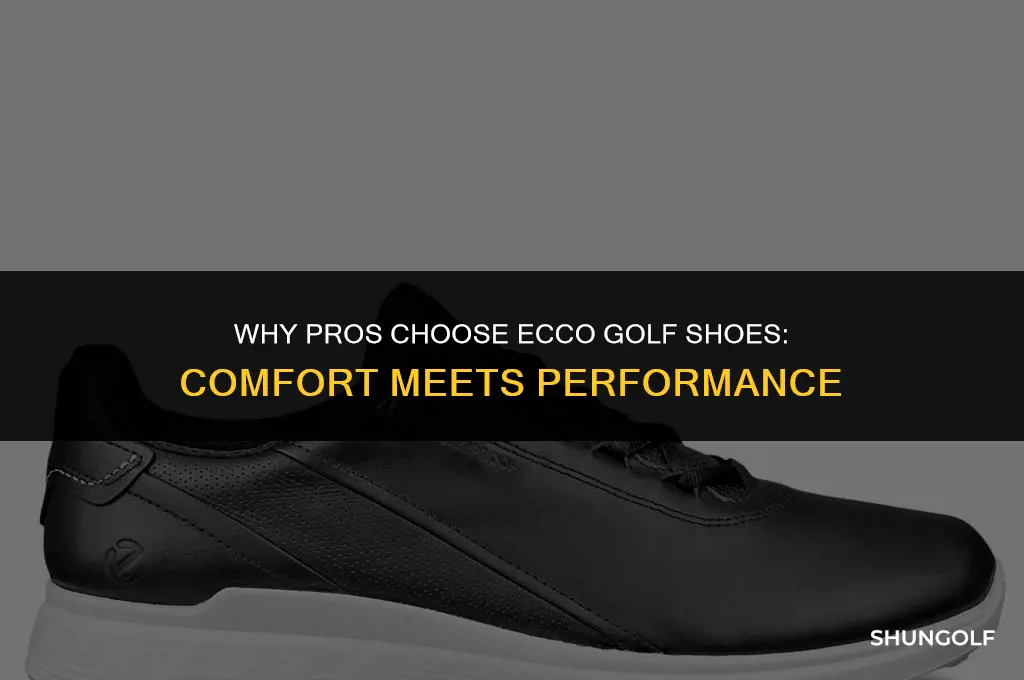 what pros wear ecco golf shoes