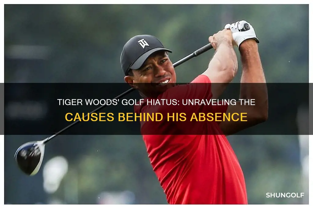 what put tiger woods out of golf