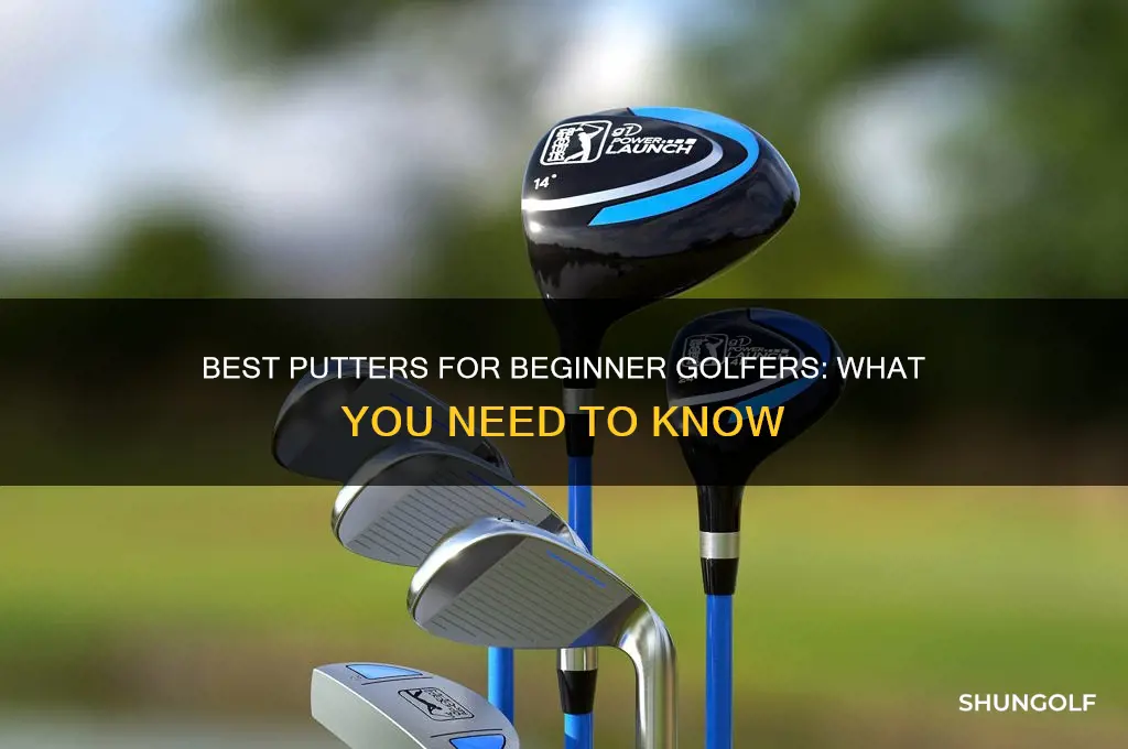what putter for beginner golfer