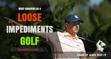 Understanding Loose Impediments in Golf: Rules and Examples Explained