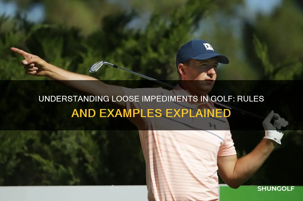 what qualifies as a loose impediments golf