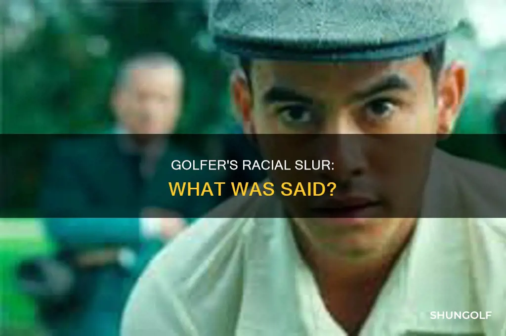 what racial slur did golfer say