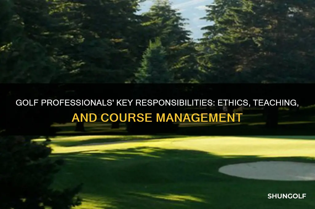 what responsibility is imposed on the golf professional