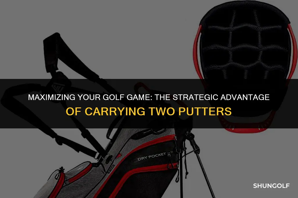 what rules in have two putters in golf bag