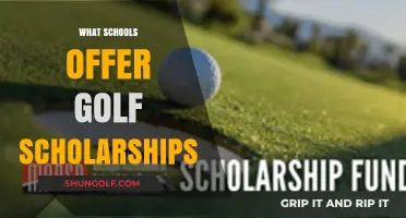 Golf Scholarships: Best Schools for Golfers