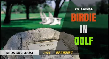 Understanding Birdies: What Score Defines This Golf Achievement?