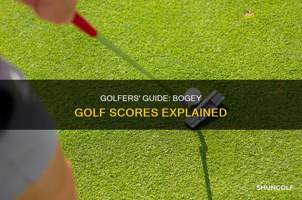 what score is bogey golf
