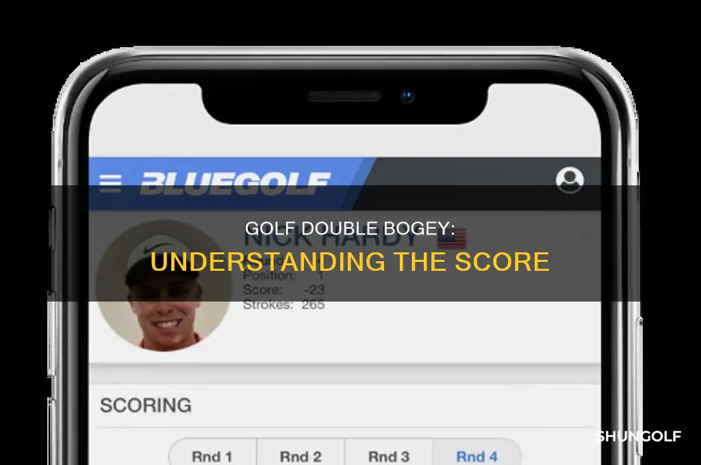 what score is double bogey golf