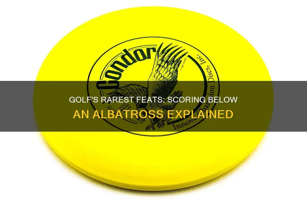 what score is lower than an albatross in golf