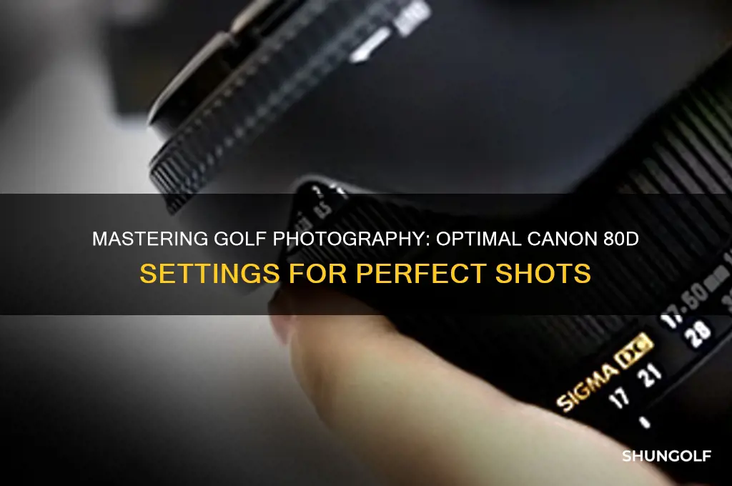 what settings for canon 80d for golf