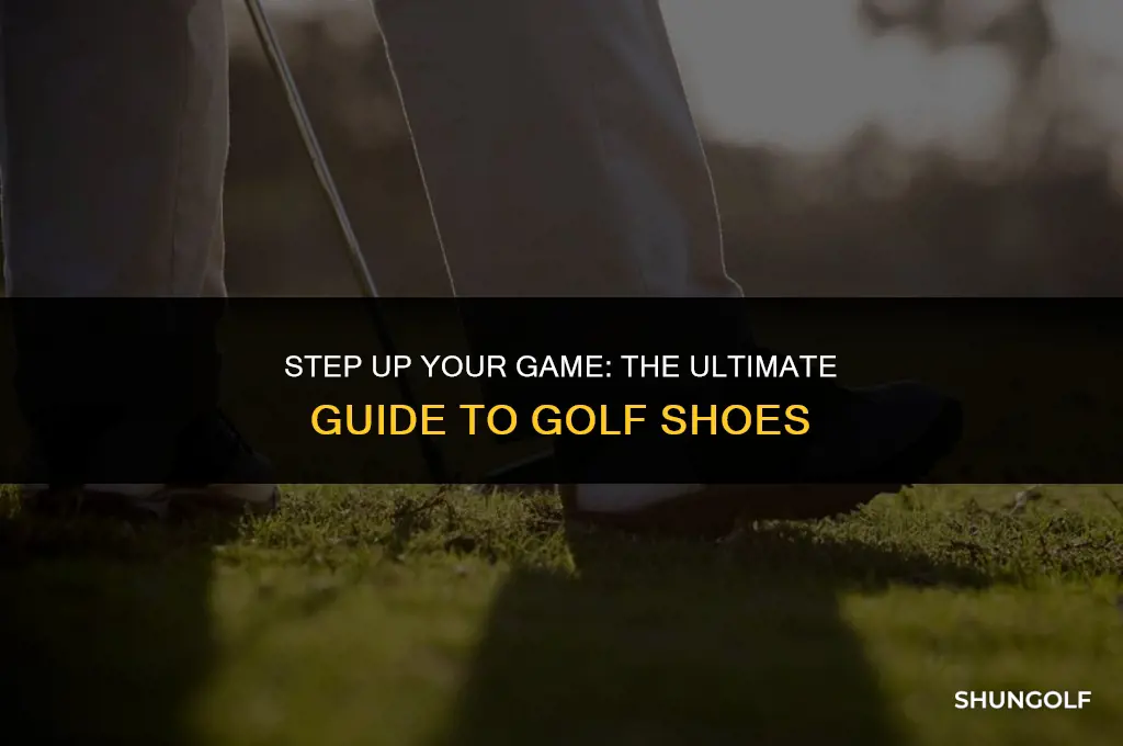 what shoes do i golf in