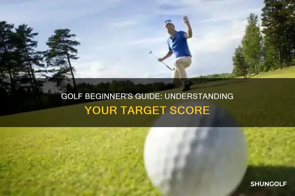 what should a beginner golfer score