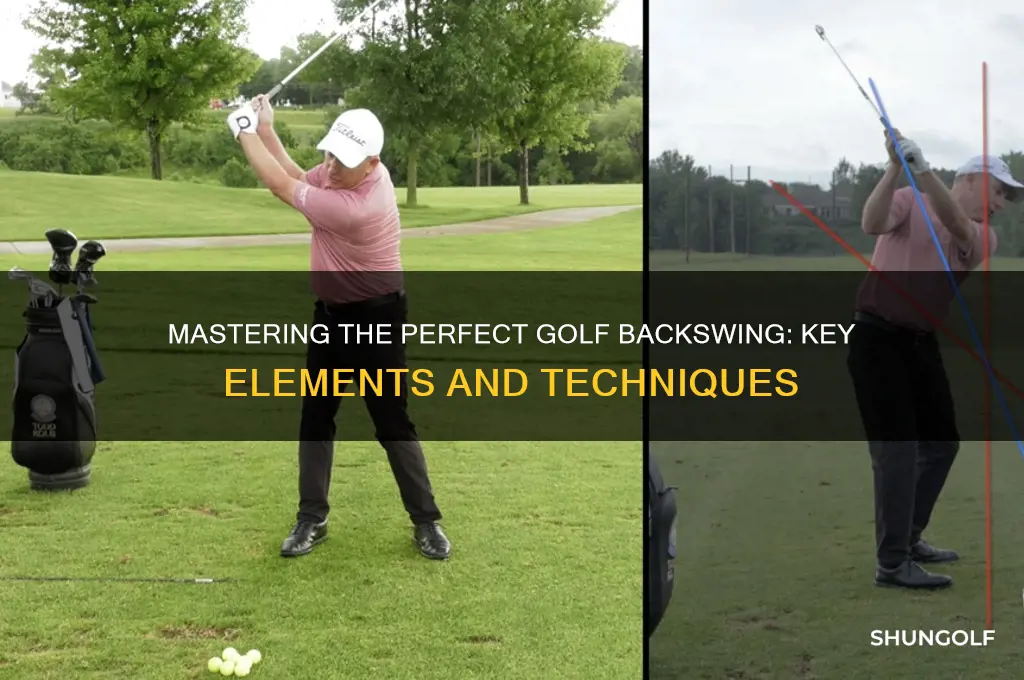 what should a golf backswing look like