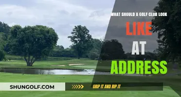 Perfect Golf Club Setup: Visual Guide to Ideal Address Position