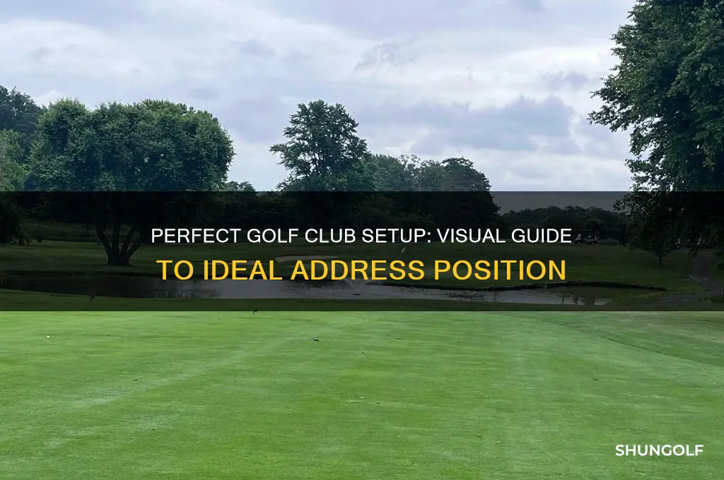 what should a golf club look like at address