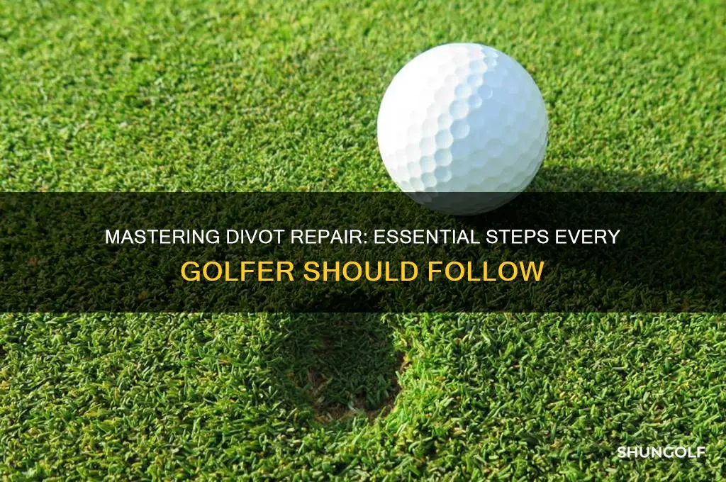 what should a golfer do when she creates a divot