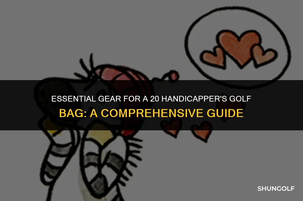 what should be in 20 handicapper golf bag