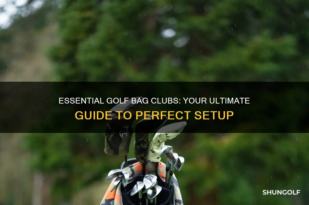 what should i have in my golf bag clubs
