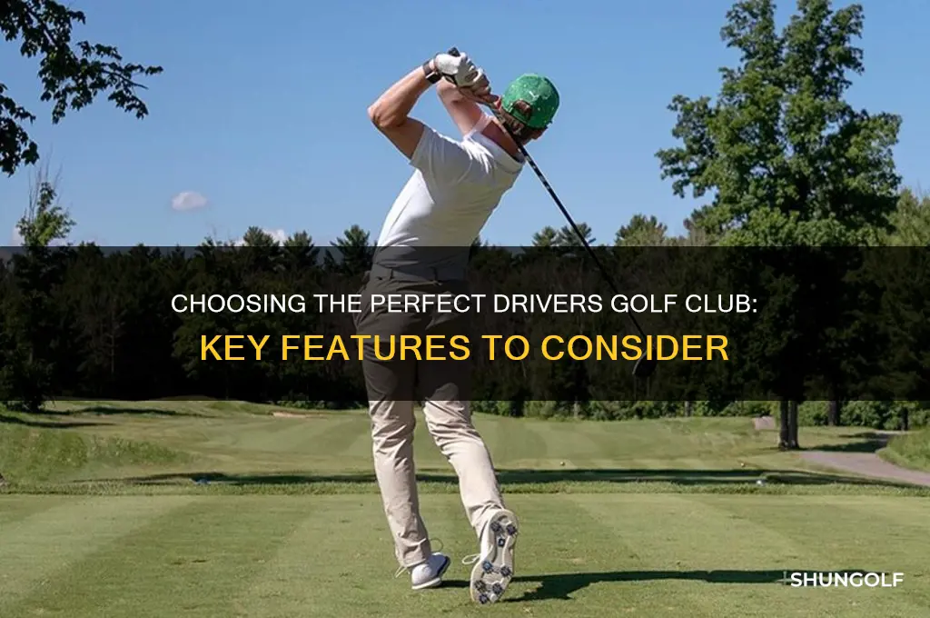 what should i look for in a drivers golf club