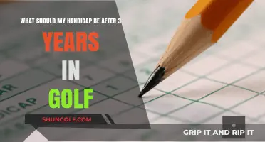 Determining Your Ideal Golf Handicap After Three Years of Play
