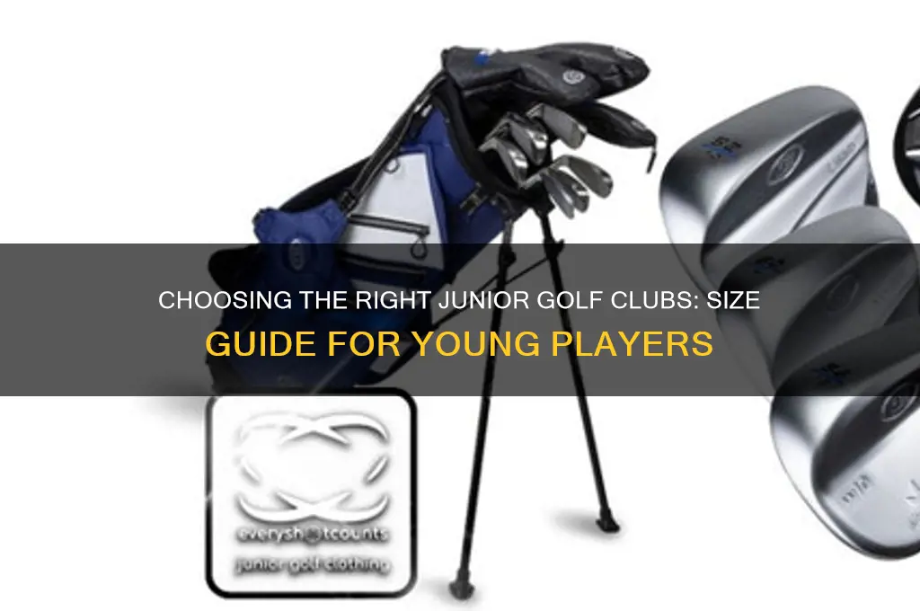 what size are junior golf clubs